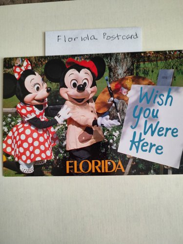 1957 florida postcard minnie mickey unwritten on