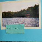 Nature Lake Champlain New York. copy reprint 8x10 unframed digital photo