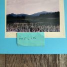 Nature New York. copy reprint 8x10 unframed Nature New York. copy reprint 8x10 unframed