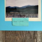 Nature New York. copy reprint 8x10 unframed digital photo