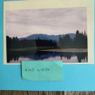 Nature New York are so pretty 8x10 copy reprint unframed digital photo Nature New York are so pretty 8x10 copy reprint unframed digital photo