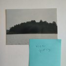 Nature New York are so pretty 3x5 copy reprint unframed digital photo