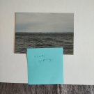 Nature New York are so pretty 3x5 copy reprint unframed digital photo Nature New York are so pretty 3x5 copy reprint unframed digital photo