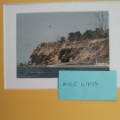 Nature copy reprint photo is 3x5  with Mattboad