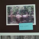 Nature New York  beaver dam 5x7 copy reprint unframed