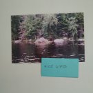 Nature New York beaver dam 5x7 copy reprint unframed digital photo