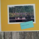 Nature copy reprint photo is 5x7 with Mattboad Fort Miller NY