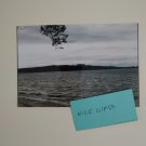 Nature New York are so pretty 5x7 copy reprint unframed digital photo