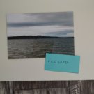 Nature New York are so pretty 5x7 copy reprint unframed