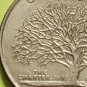 1999 connecticut state quarter mm d errorrs maybe Video n pictures qty 1 coin
