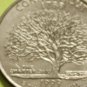 1999 connecticut state quarter mm d errorrs maybe Video n pictures qty 1 coin
