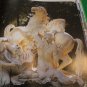 European Garden Design by Ehrenfried Kluckert 1st Edition