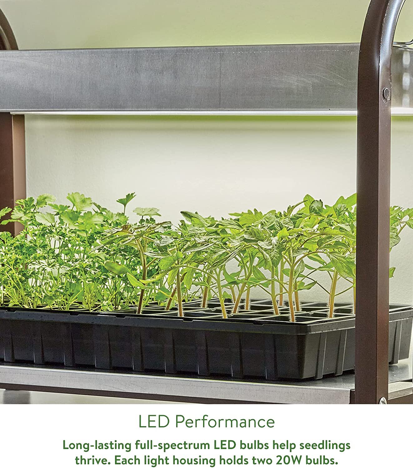 Burpee's Two Tier Lighting Cart Retail price 305.95