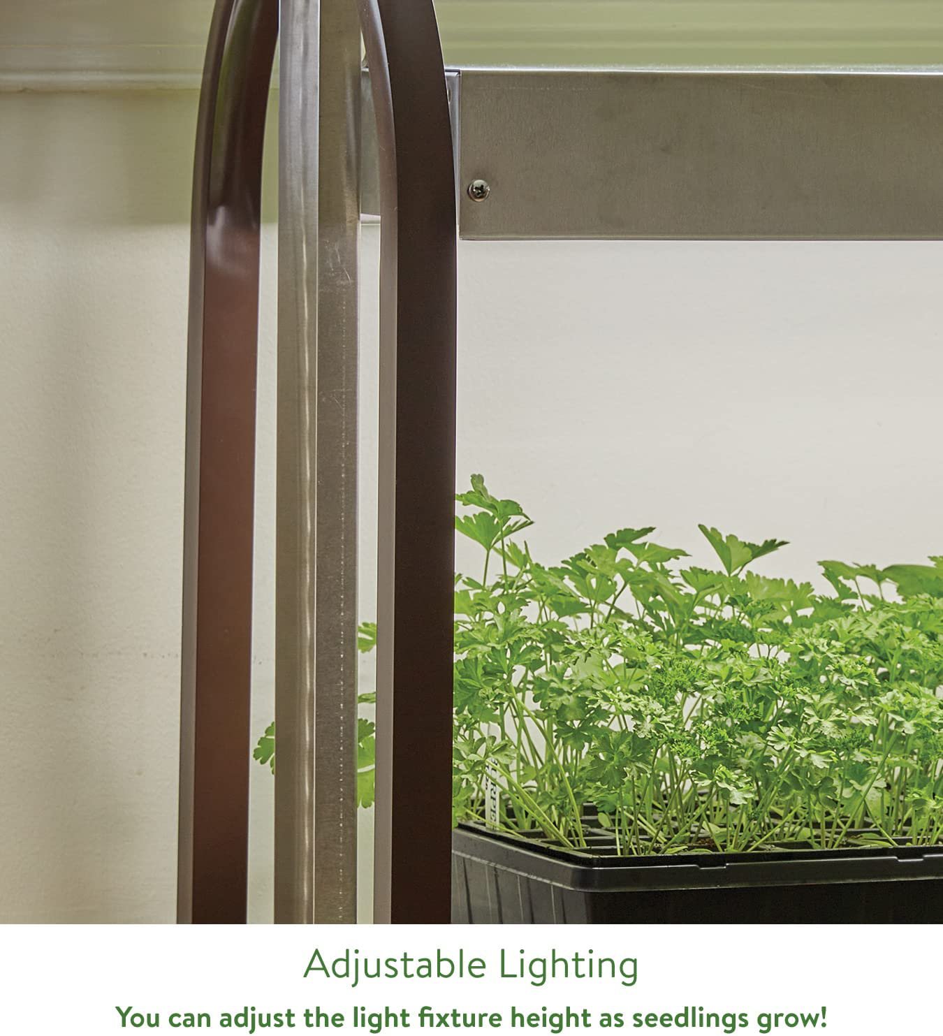 Burpee's Two Tier Lighting Cart Retail price 305.95