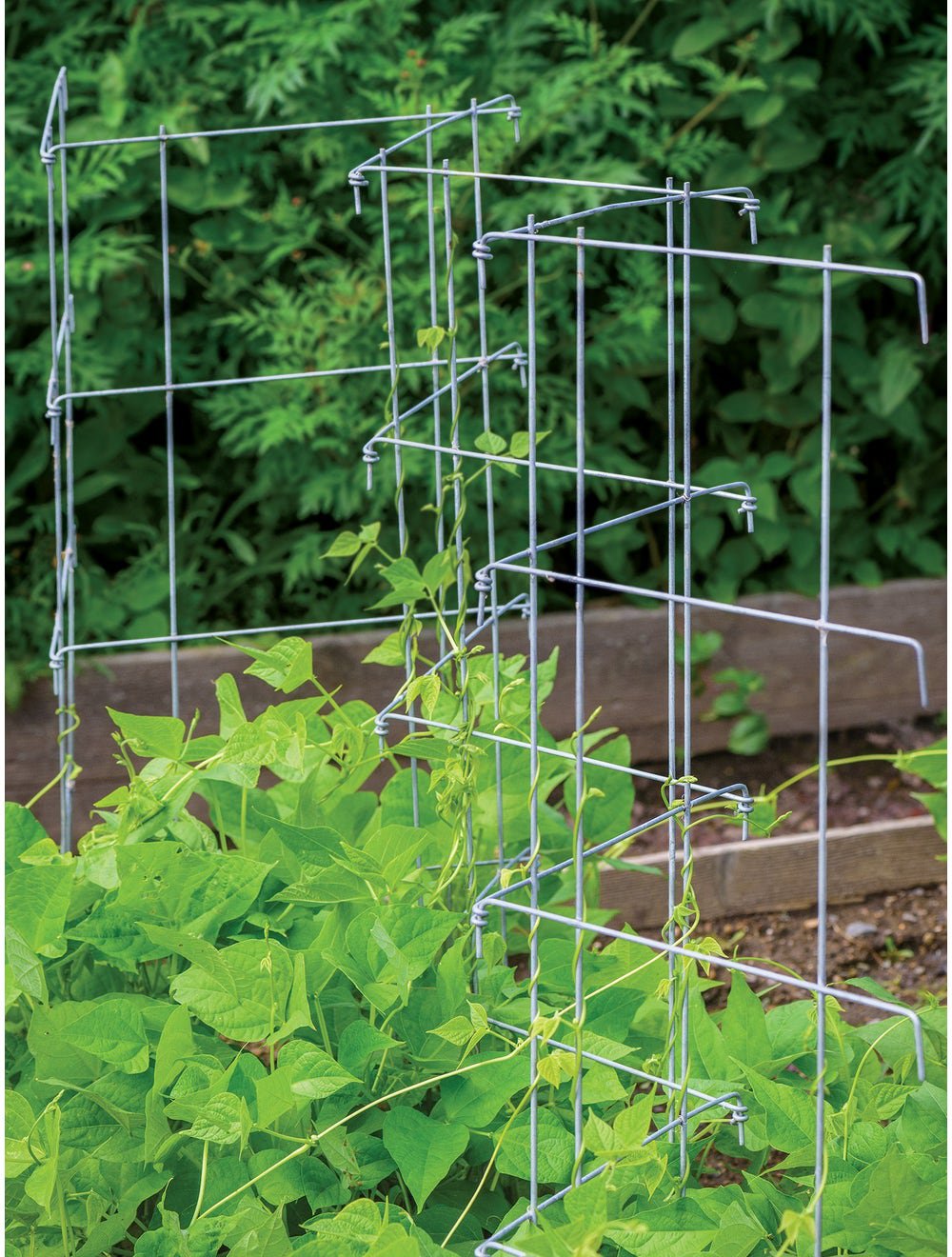 Burpee Pea And Cucumber Fence 2/Pack