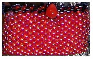 Tomato Red beaded purse - Fashion Doll Accessories