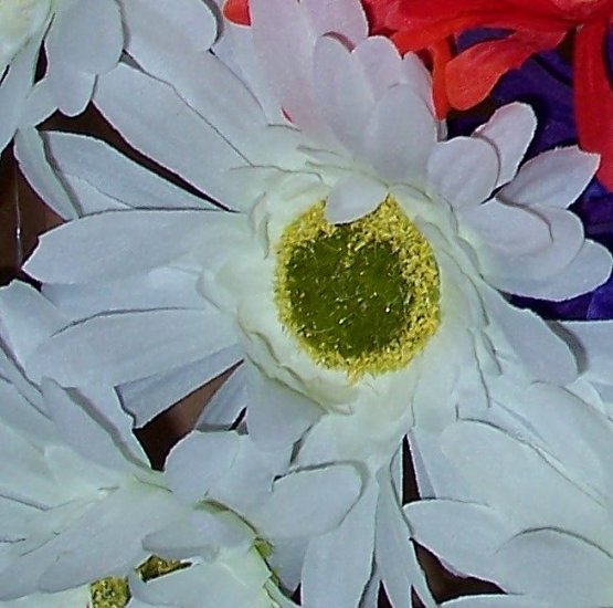 WHITE Bloomin' Pens - Gerbera Daisy flower pens