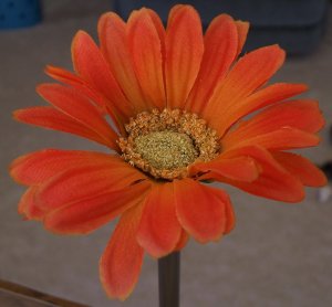 ORANGE-RED Bloomin' Pens - Gerbera Daisy flower pens