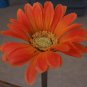 ORANGE-RED Bloomin' Pens - Gerbera Daisy flower pens
