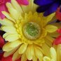 YELLOW Bloomin' Pens - Gerbera Daisy flower pens