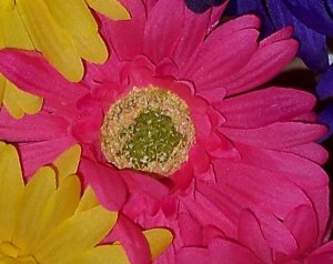 HOT PINK Bloomin' Pens - Gerbera Daisy flower pens
