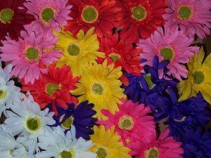 Dozen Bloomin' Pens - Gerbera assortment