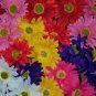 Dozen Bloomin' Pens - Gerbera assortment