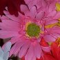 PINK Bloomin' Pens - Gerbera Daisy flower pens