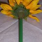 Sunflower Bloomin' Pens- Large blooms