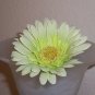 Pale Green Bloomin' Pens - Gerbera Daisy flower pens