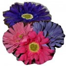 Pinks and purples - Dozen flower pens
