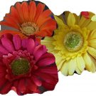 Caliente Mix - Dozen bloomin' pens
