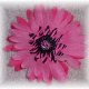Wild Flowers - animal print bloomin' pens