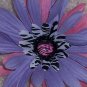 Wild Flowers - lavender zebra print bloomin pens