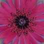 Wild Flowers - Pink leopard print bloomin pens