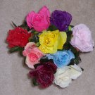 Dew Drop Roses - Dozen Mixed