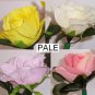 Dew Drop Roses - Dozen Mixed