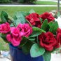 Dozen Mini Rose Flower pens