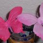Butterfly Bouquet of pens- set of 6