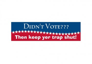 Didn't Vote? Bumper Sticker