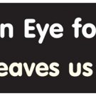An Eye for an Eye leaves us all blind - bumper sticker