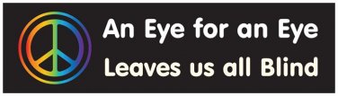 An Eye for an Eye leaves us all blind - bumper sticker