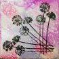 Agapanthus Coasters- Set of 4