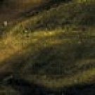 Antiqued Gold Marbled