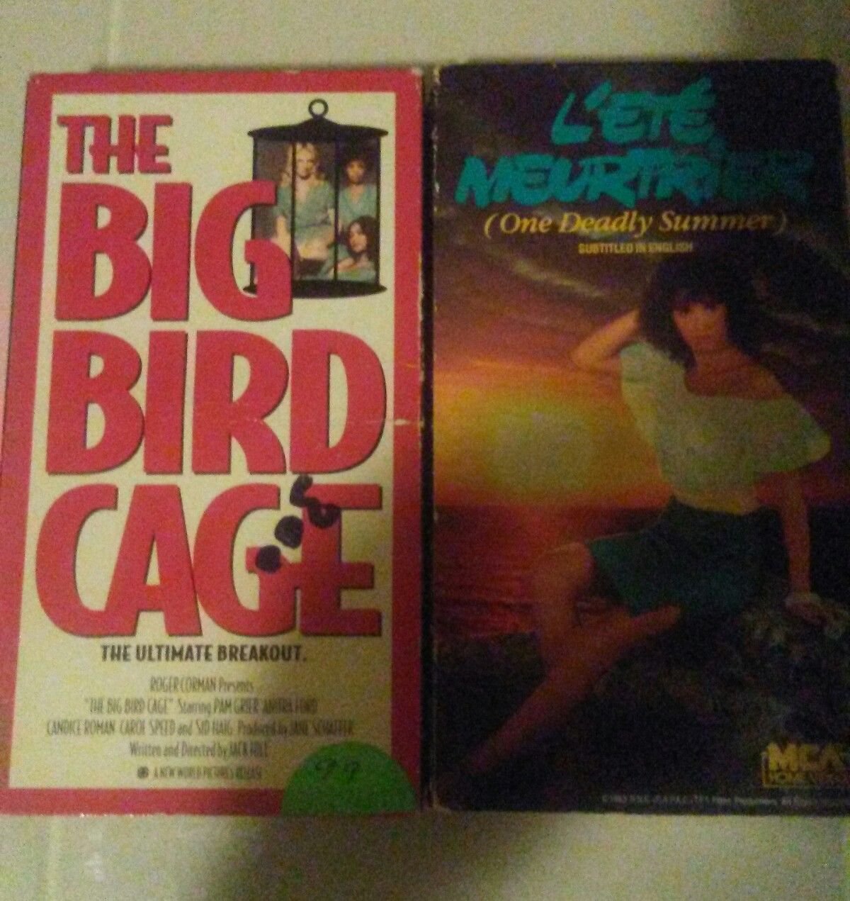 RARE VHS L'ET'E MEURTRIER (One Deadly Summer) French horror & BIG BIRD CAGE