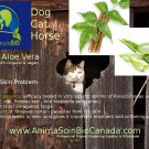 Aloes & Neem Shampoo / shampoing neem aloes- P