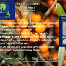 Aloes & Sea Buckthorn Oil Shampoo/ Shampoing Aloes & Argousier