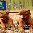 Degreaser BigBoy Shampoo/ Shampoing degraisseur Gros Cabot