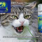 Dry foamy Shampoo/ shampoing sec moussant