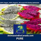 Manchurian Dragon Dog & Cat Perfume